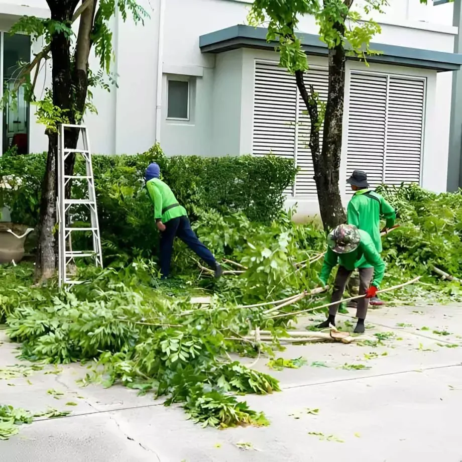 Travaux d'élagage à Mérens
