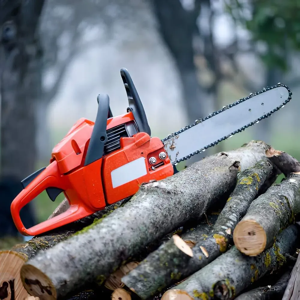 Démontage d'arbre à Mérens