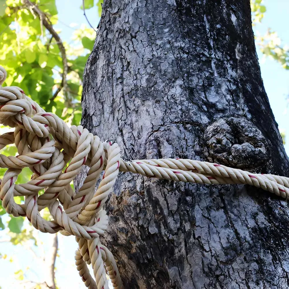 Spécialiste d'arbres d'ornement à Mérens